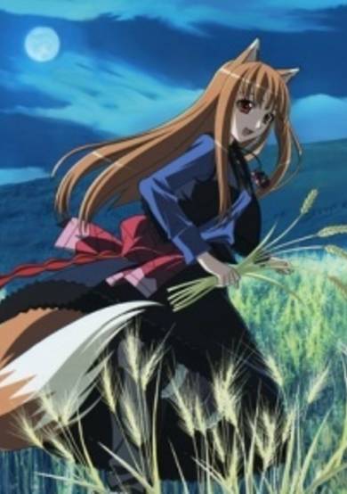 Spice and Wolf II: The Wolf and the Amber Melancholy